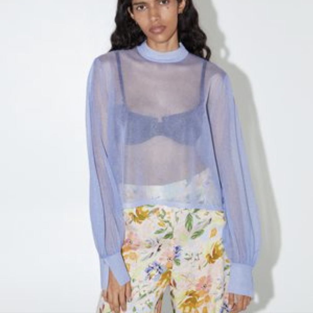 Zara Sheer Shimmer Blouse